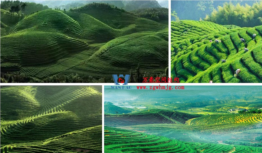 案例欣賞/復(fù)雜鋼膜結(jié)構(gòu)建筑/杭州博多森谷ETFE氣枕連廊天幕項目 案例欣賞/復(fù)雜鋼膜結(jié)構(gòu)建筑/杭州博多森谷ETFE氣枕連廊天幕項目
